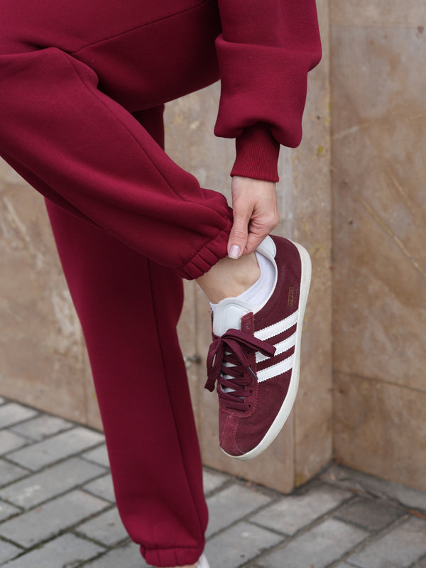 Костюм Cosmi з худі і джогерами Бордо (з утепленням)