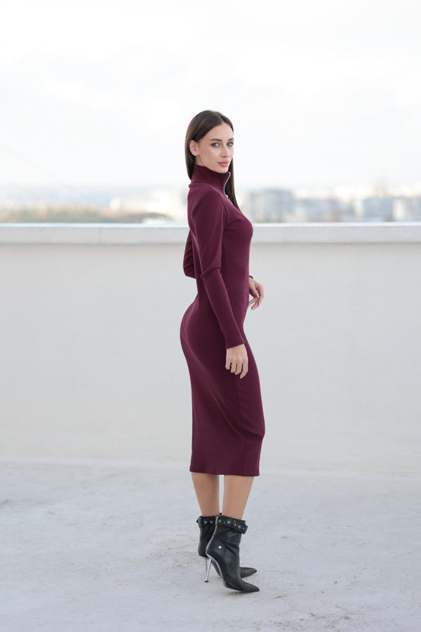 Сукня Siena Бордо з довгим рукавом