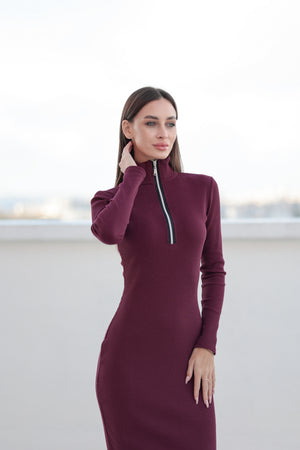 Сукня Siena Бордо з довгим рукавом
